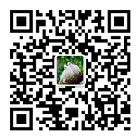 除塵設(shè)備_脫硝脫硫設(shè)備_污水處理_煙氣粉塵治理_唐山鉑銳環(huán)?？萍加邢薰?/></div>
      <!--二維碼結(jié)束-->
      <div   id=